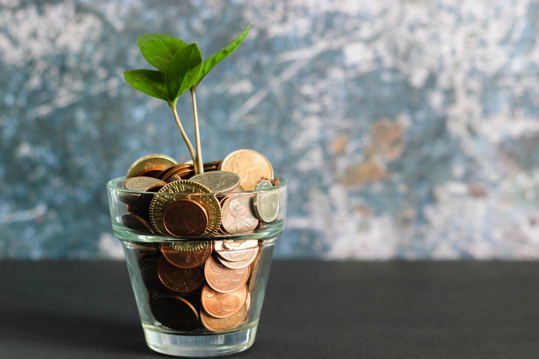 Sparingstips: Hvordan få pengene dine til å vokse